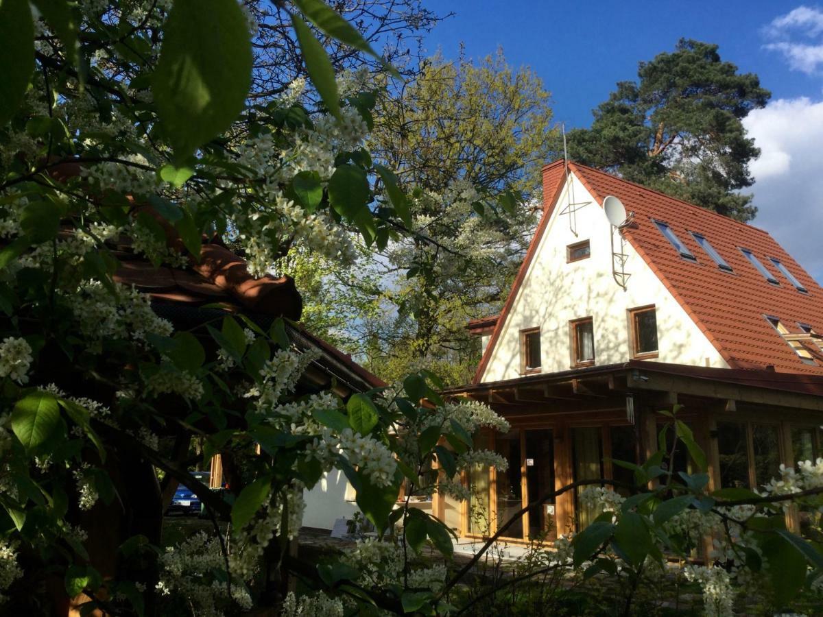 Willa Danusia Milanowek Bagian luar foto