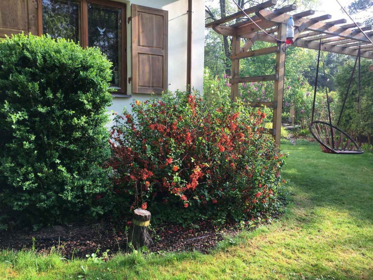Willa Danusia Milanowek Bagian luar foto